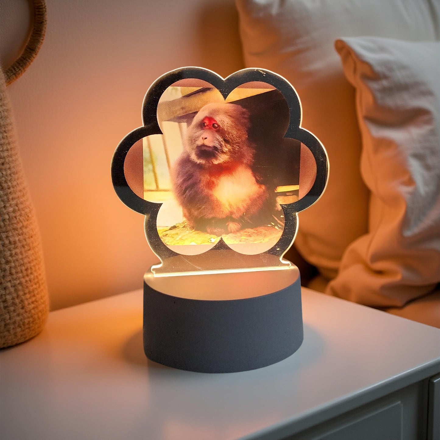 XingXing Natural Light