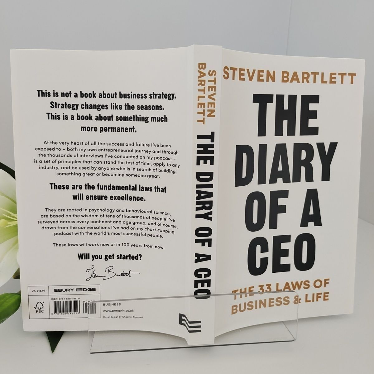The Diary Of A Ceo